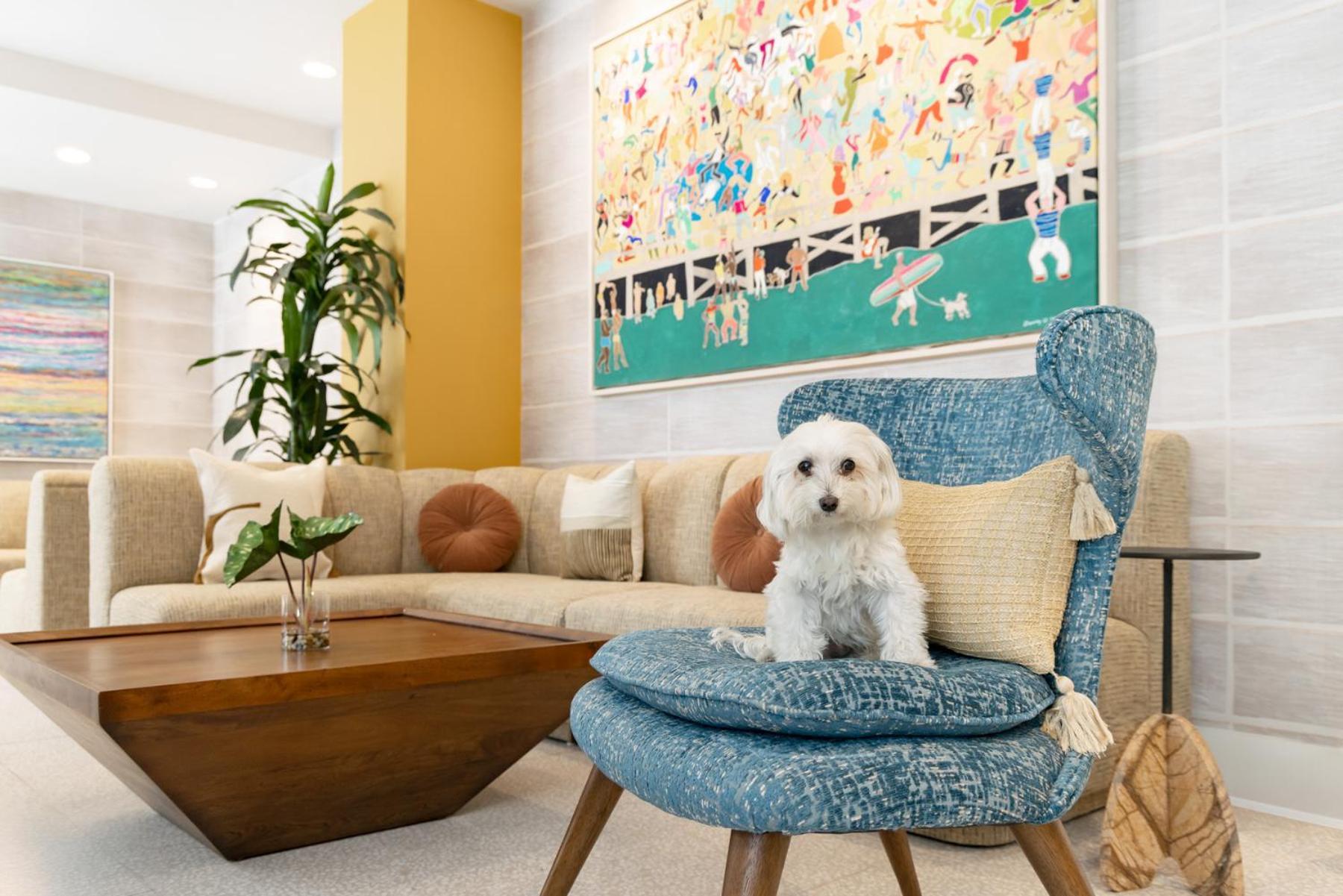Hotel Continental Miami Beach, Tapestry Collection By Hilton Eksteriør bilde